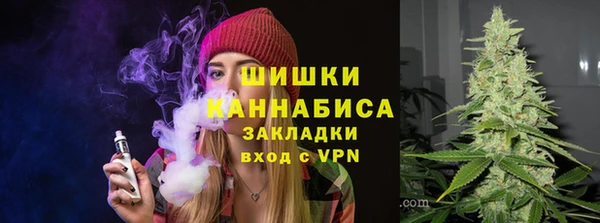 ГАЛЛЮЦИНОГЕННЫЕ ГРИБЫ Сосновка