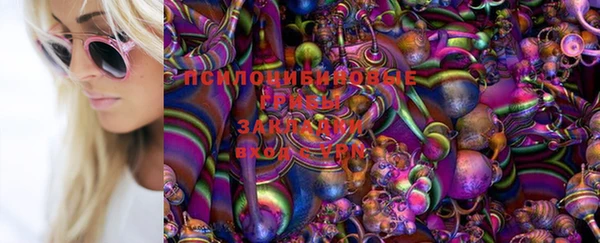 герыч Таштагол